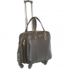 Pilot Case - Olivia Lauren 