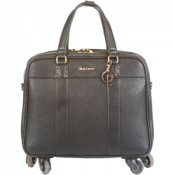 Pilot Case - Olivia Lauren 