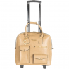 Pilot Case - O.Lauren 